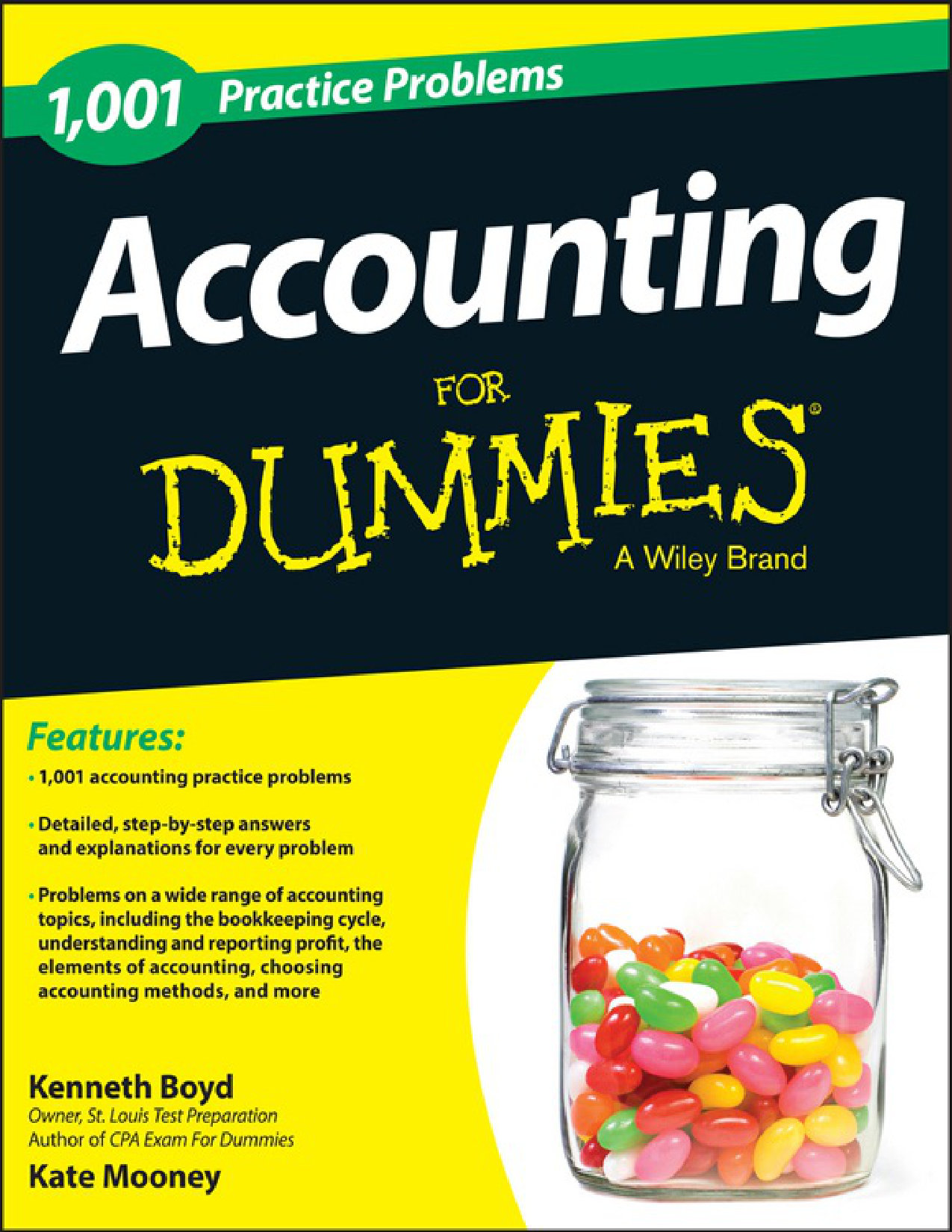 1,001 Accounting Practice Problems For Dummies cover